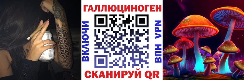 где можно купить   Кологрив  Псилоцибиновые грибы мухоморы 